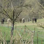 Casa de Férias Charming In A Farm With Views *