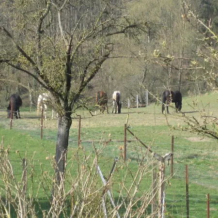 Charming In A Farm With Views * Gimnée