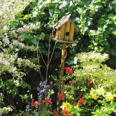 Charming In A Farm With Views Holiday home Gimnee
