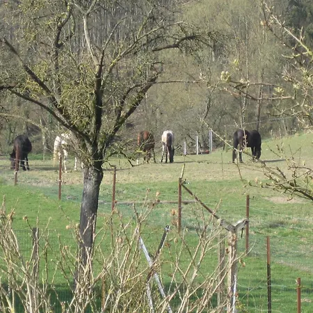 Vakantiehuis Charming In A Farm With Views *