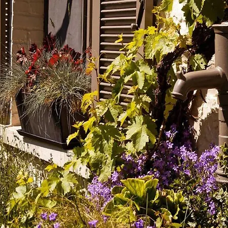 Vakantiehuis Charming In A Farm With Views Gimnée